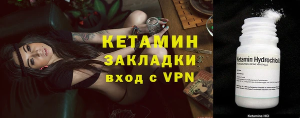 крисы Каменногорск