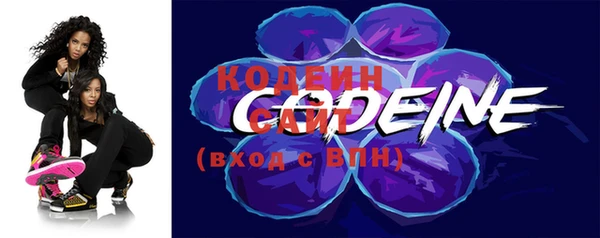 хмурый Карпинск