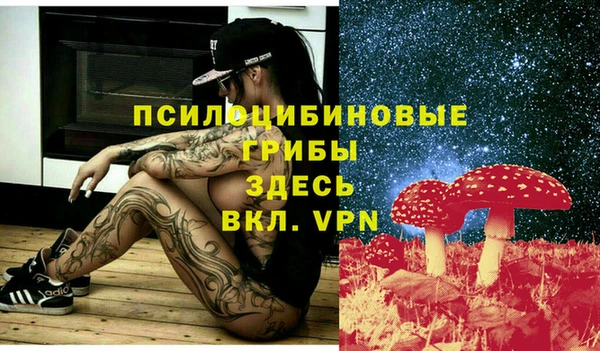 молекула духа Карталы