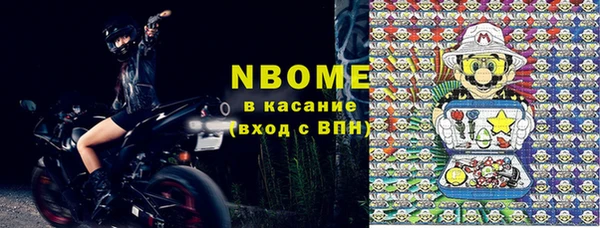 хмурый Карпинск