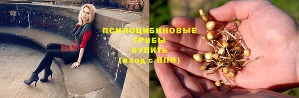 бошки Касимов