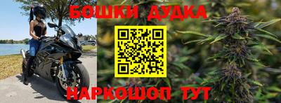 шишки Апшеронск