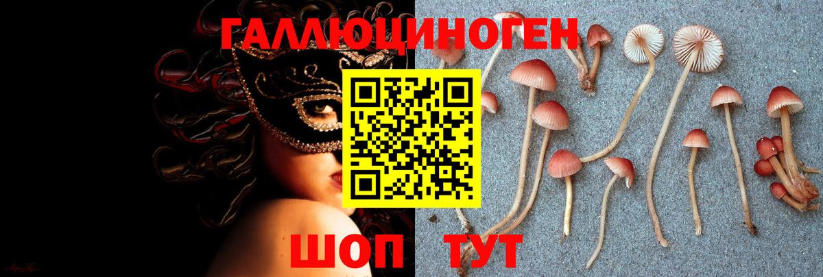 Галлюциногенные грибы Psilocybe Каменка