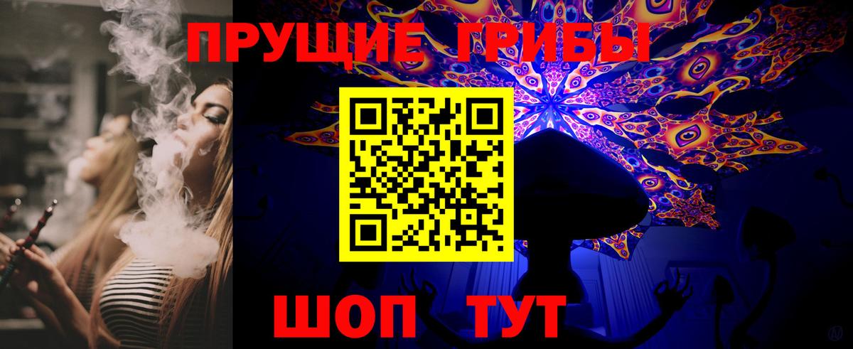 Галлюциногенные грибы прущие грибы  Псилоцибиновые грибы Psilocybine cubensis  Каменка  Вход с VPN 