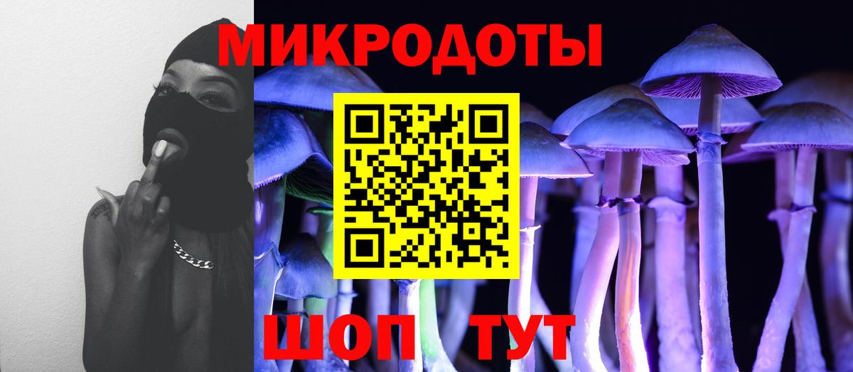 A PVP Каменка